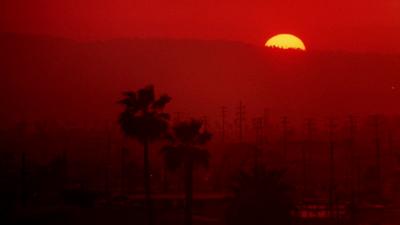 To Live and Die in L.A.