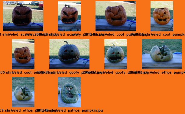 Jack-o'-lanterns: 2010