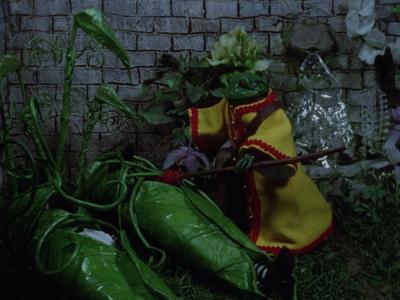 Blood Tea and Red String