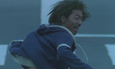 Swallowtail Butterfly